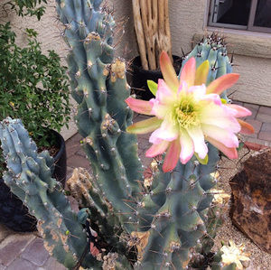 Meet your Posher, Madeline